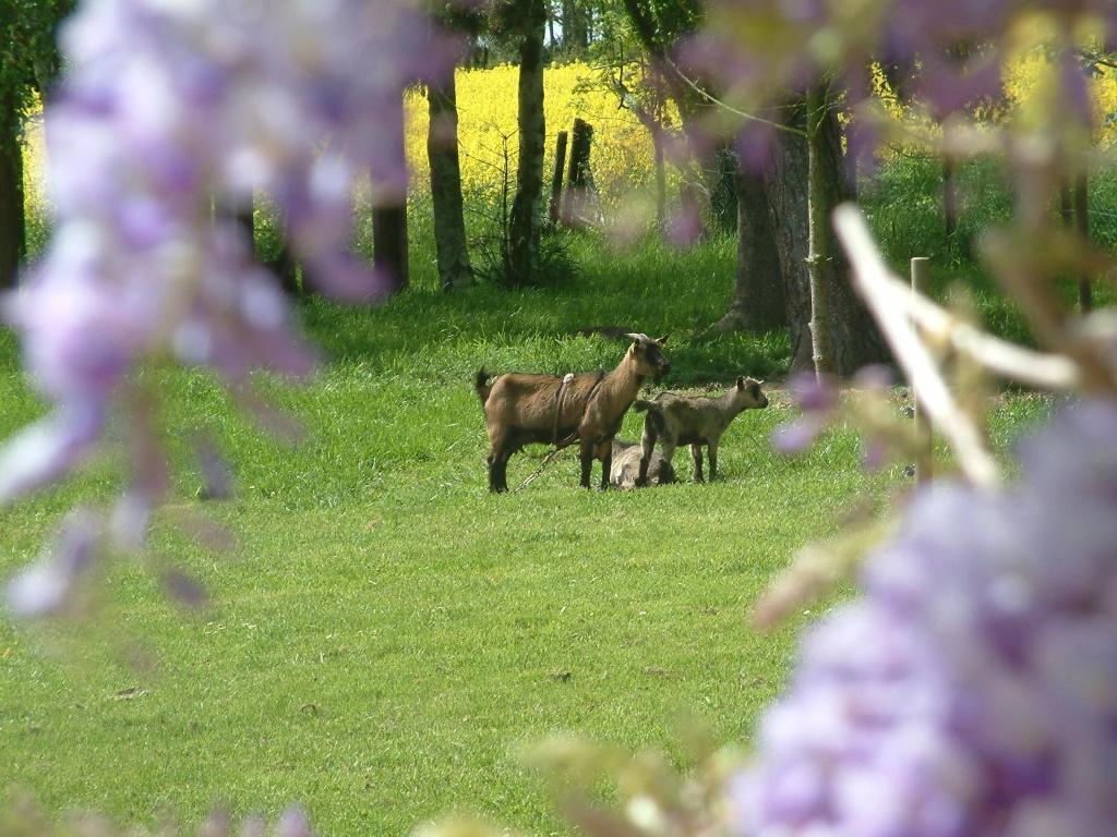 Maison Prairie Bonheur Bed and Breakfast Magny-les-Hameaux Værelse billede